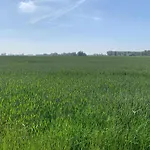 In Near The * Nieuwpoort