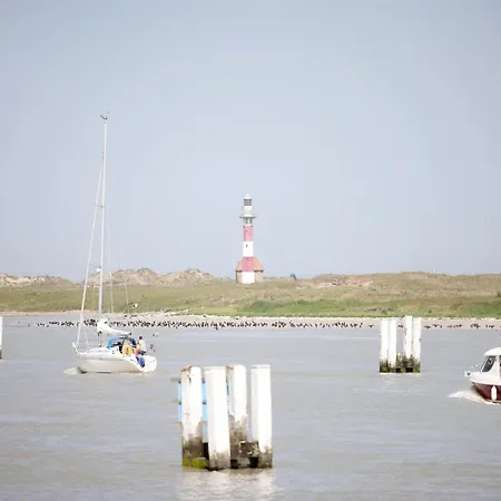 In Near The Nieuport