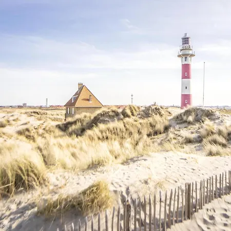 Lejlighed In Near The