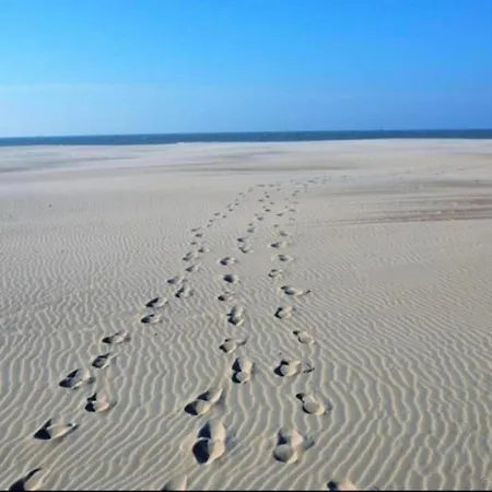 아파트 In Near The *