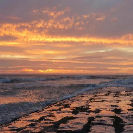 In Near The Lejlighed *