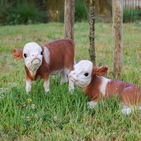 In Near The 아파트 *