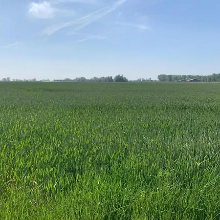 In Near The * Nieuport