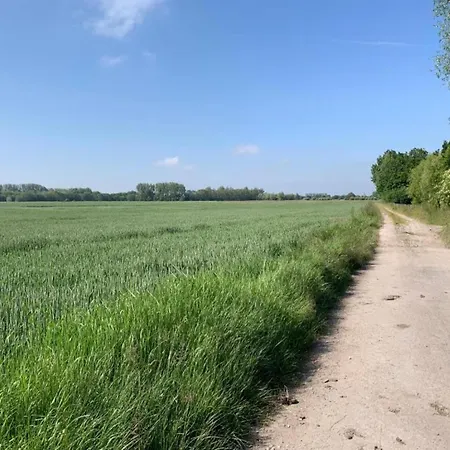 Lejlighed In Near The *